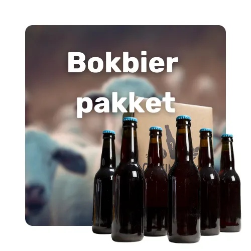 Bokbier pakket – meerdere flessen in bierdoos van GeheimBiertje