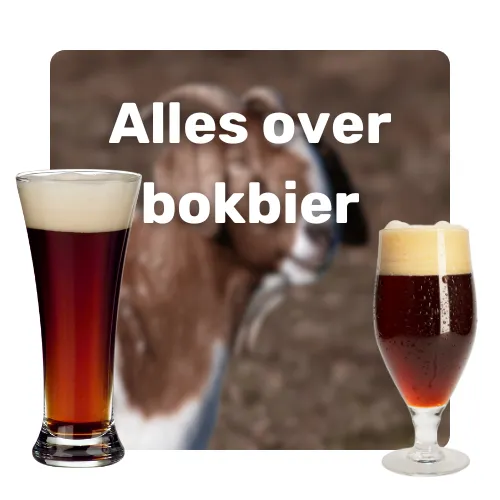 Alles over bokbier – twee glazen donker speciaalbier